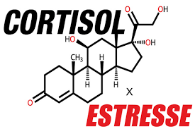 Cortisol Estresse