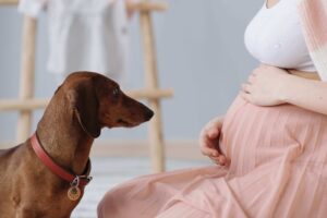 pregnancy - real life experience - How To Reduce